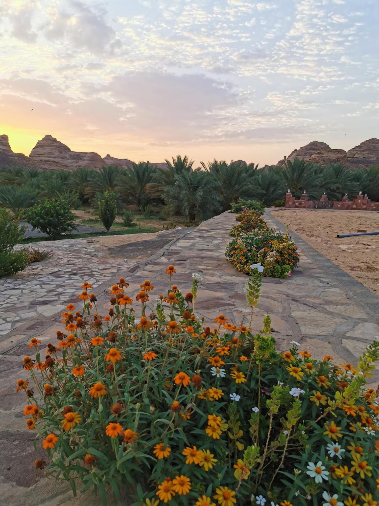 Hotel Naseem Country House Al-'Ula Exterior foto